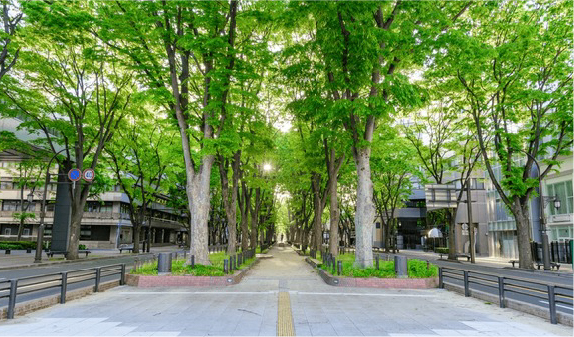 北海道・東北エリア