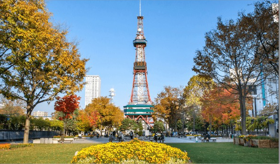 北海道・東北エリア