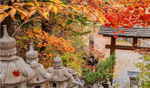北海道・東北エリア