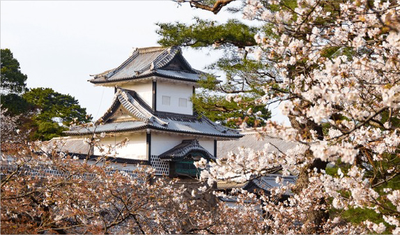 中部・東海・北陸エリア